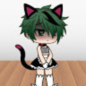 Meet your Posher, Haven